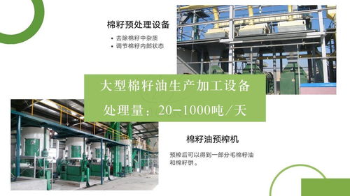 成套棉籽油生產(chǎn)加工設備 大中小型棉籽油生產(chǎn)加工設備 廠家供應